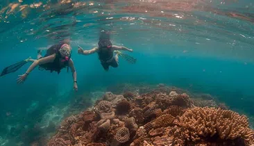 Los Cabos Private Yacht Charter with Snorkel and Paddleboard, photo 2