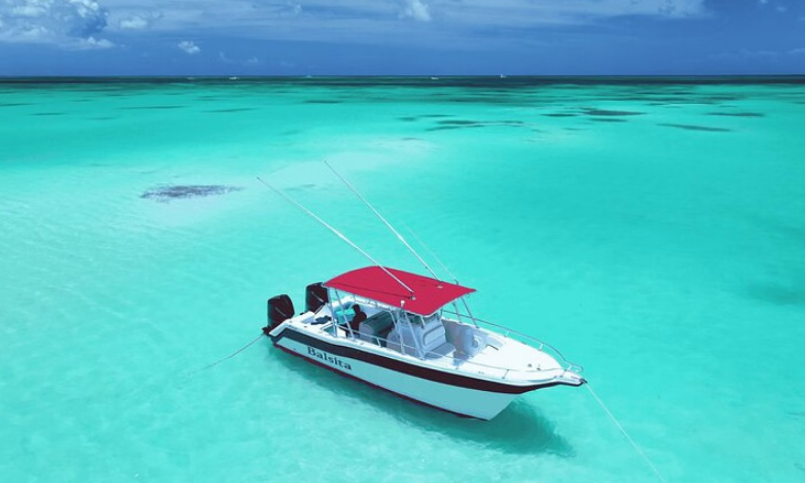 Private Full-Day Boat Trip to Isla Saona from Bayahibe, listing photo