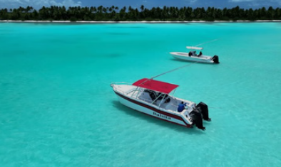 Private Full-Day Boat Trip to Isla Saona from Bayahibe, photo 3