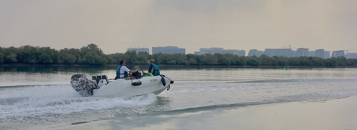 Mangroves – Natural Abu Dhabi Ecosystem 1
