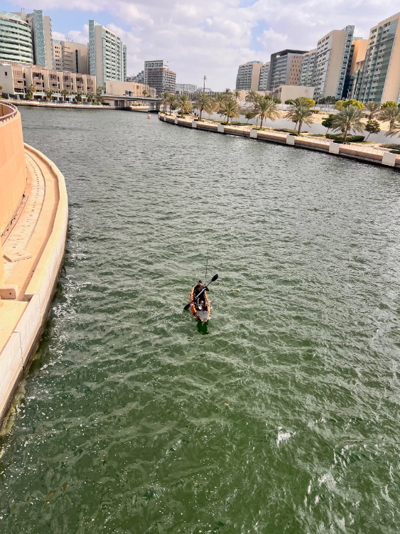 Kayak Experience: Canals and Mangroves of Abu Dhabi gallery 3