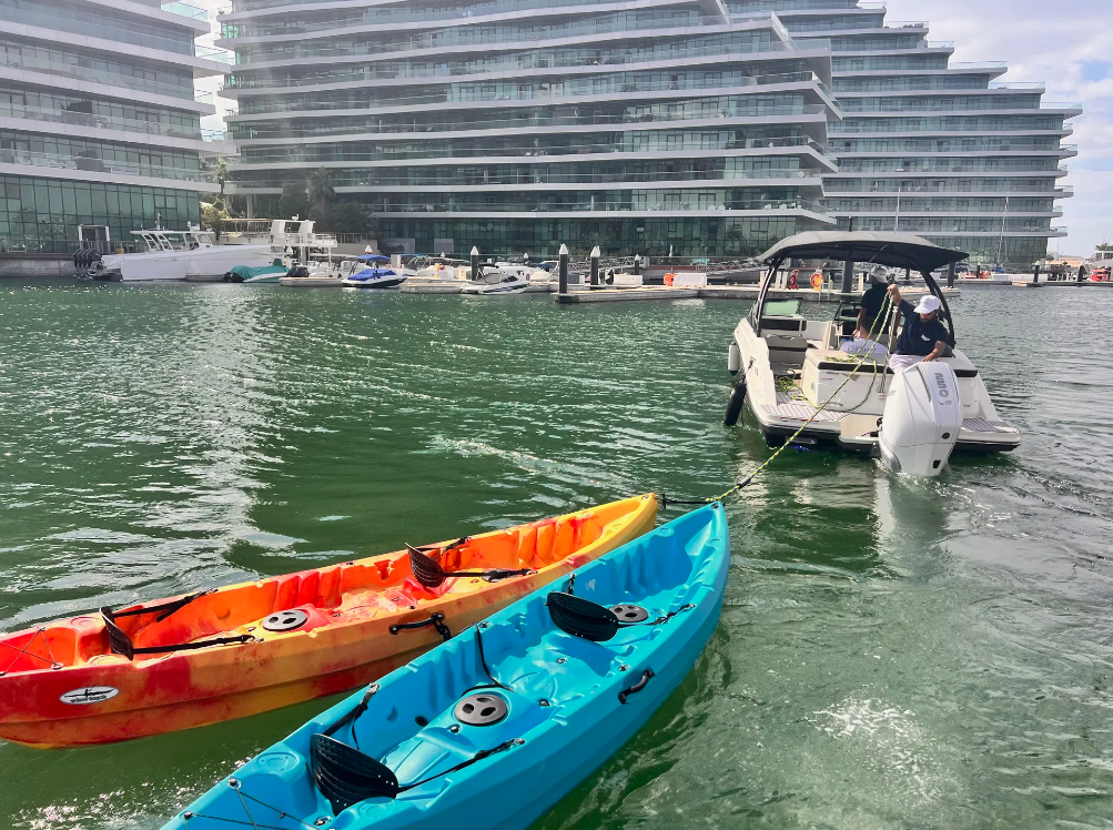 Kayak Experience: Canals and Mangroves of Abu Dhabi gallery 4