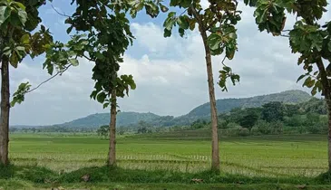 Cycling Village Tour in Kulonprogo, photo 2