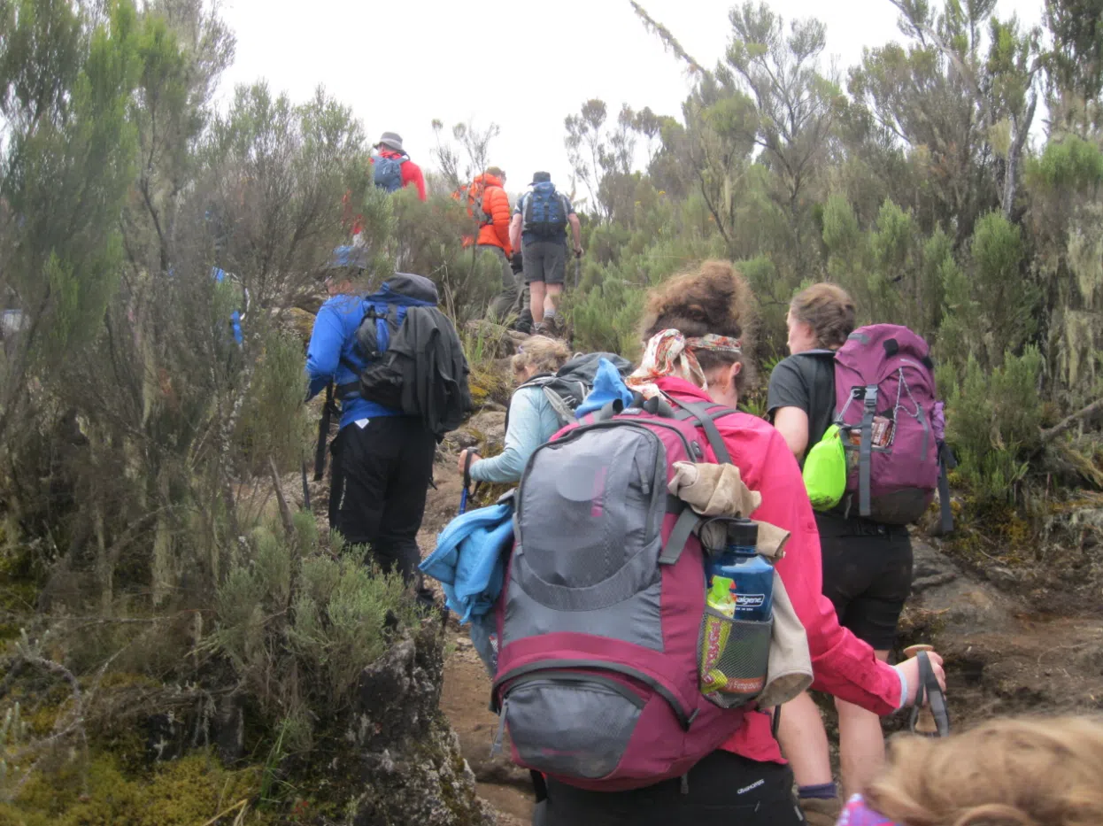 7-Day Mount Kenya Climbing Safari via Sirimon and Chogoria, listing photo