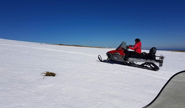 Snowmobile Adventure in Borovets, photo 4