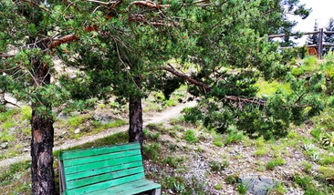 Zip Line and Via Ferrata Experience in the Rhodope Mountains, photo 2