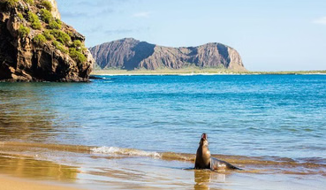 5-Day Galapagos Multisport Adventure – Biking, Hiking and Snorkelling, photo 3