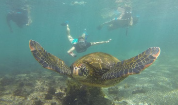 5-Day Galapagos Multisport Adventure – Biking, Hiking and Snorkelling, photo 4