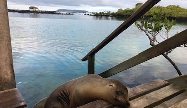 5-Day Galapagos Multisport Adventure – Biking, Hiking and Snorkelling, photo 5