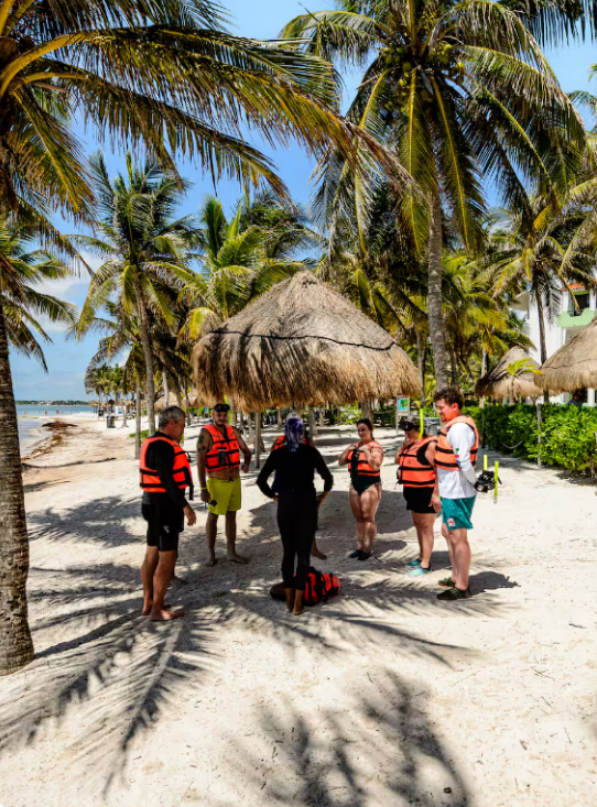 Snorkel with Turtles and Hidden Cenotes Experience in Akumal gallery 3