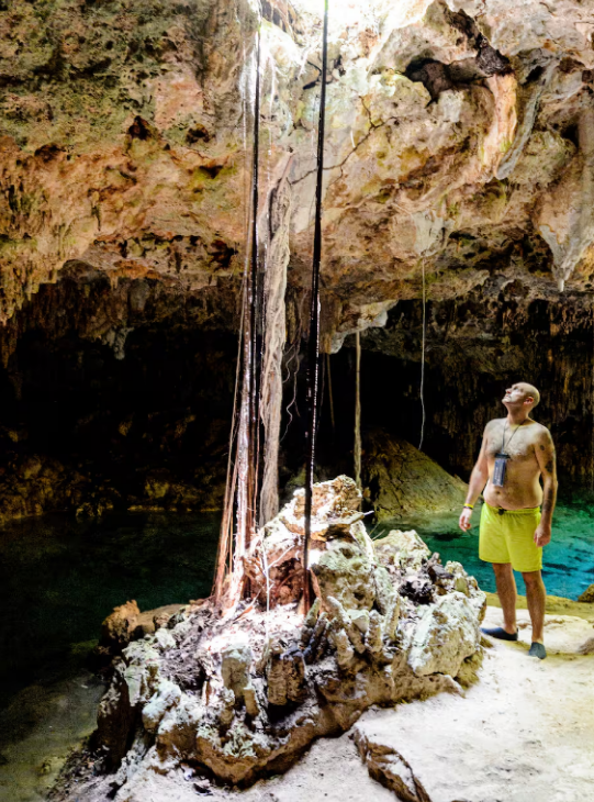 Five Cenotes Jungle Swimming Experience in the Riviera Maya gallery 4