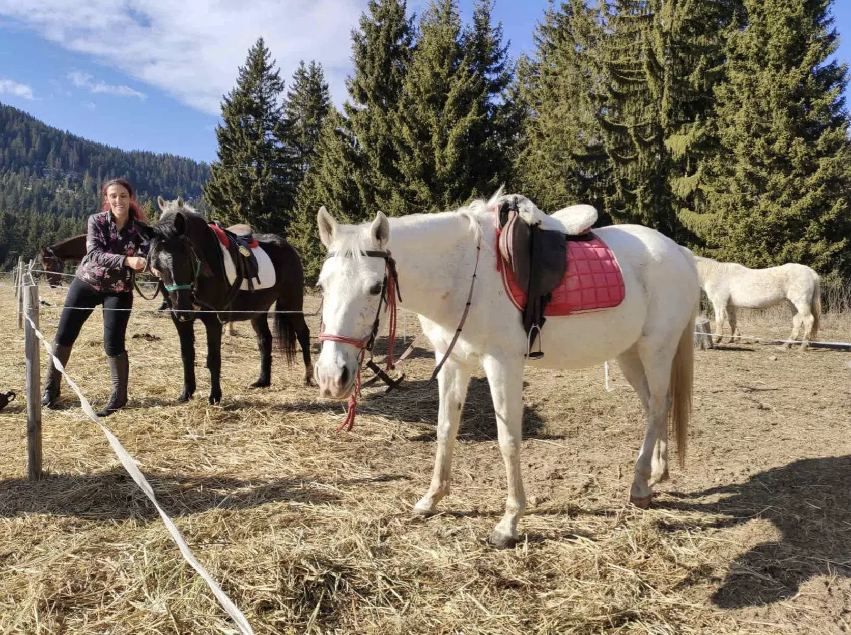 3-Day Horse Riding along the Black Sea Coast, listing photo