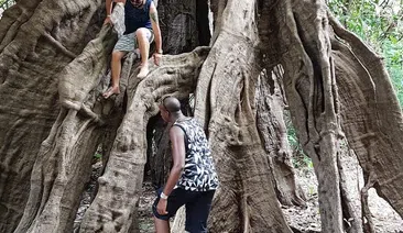 Guided Amazon Forest Trek from Manaus gallery 2