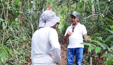 Guided Amazon Forest Trek from Manaus gallery 3