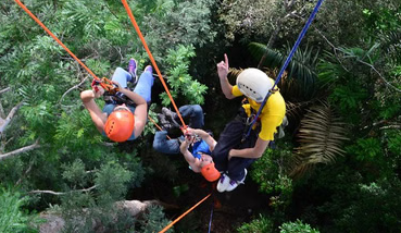 Tree Climbing Adventure in the Amazon from Manaus, photo 4