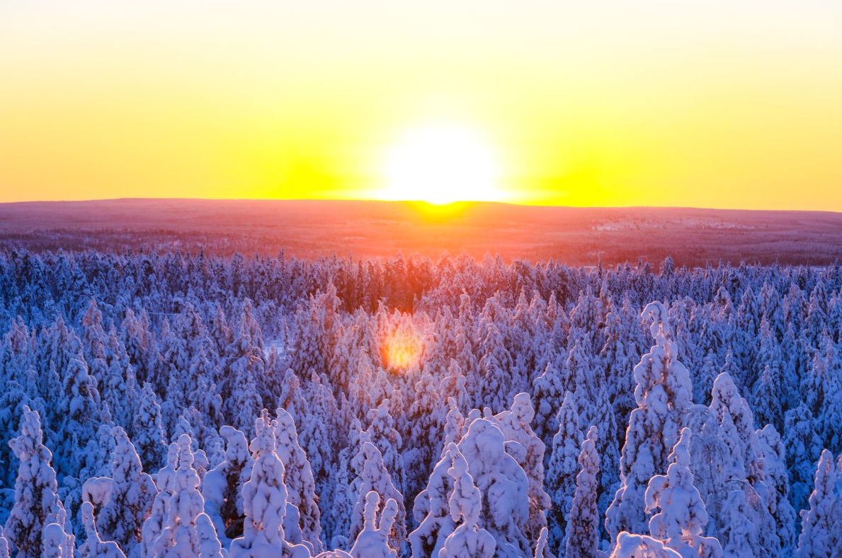 Snowmobile Safari Adventure in Rovaniemi gallery 3