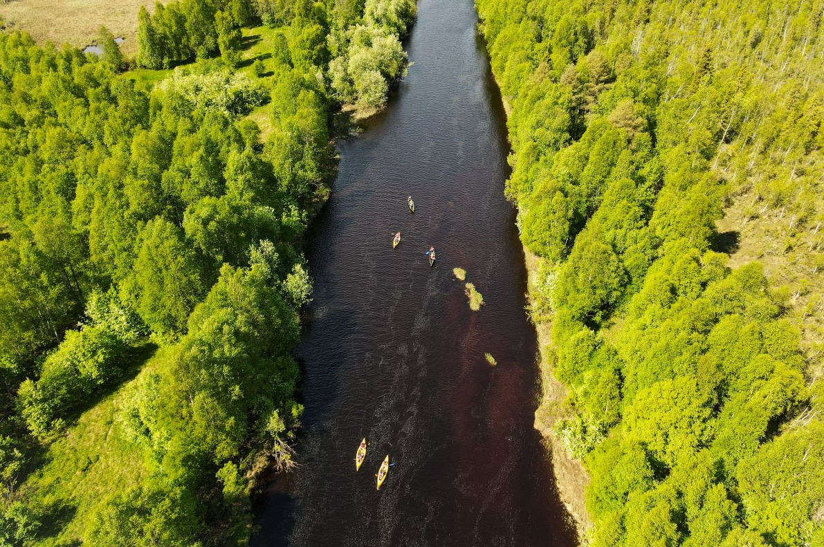 All Day Canoe Adventure to Rovaniemi, photo 3