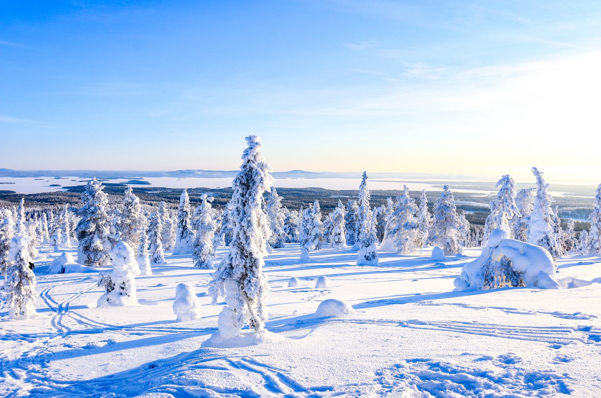 Arctic Adventure through Magical Frozen Forests of Riisitunturi, photo 4