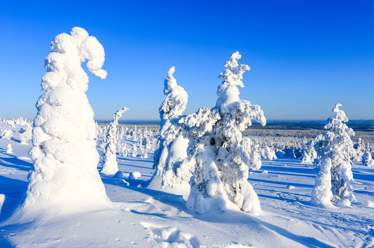 Arctic Adventure through Magical Frozen Forests of Riisitunturi gallery 3