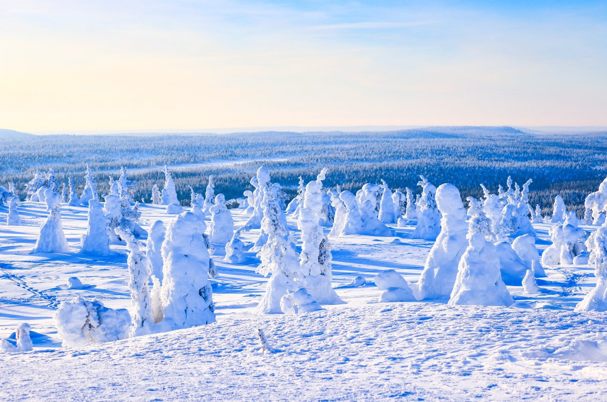 Arctic Adventure through Magical Frozen Forests of Riisitunturi, photo 2