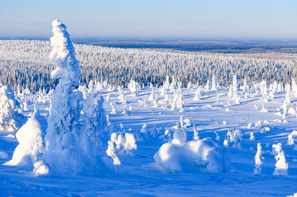 Arctic Adventure through Magical Frozen Forests of Riisitunturi gallery 4