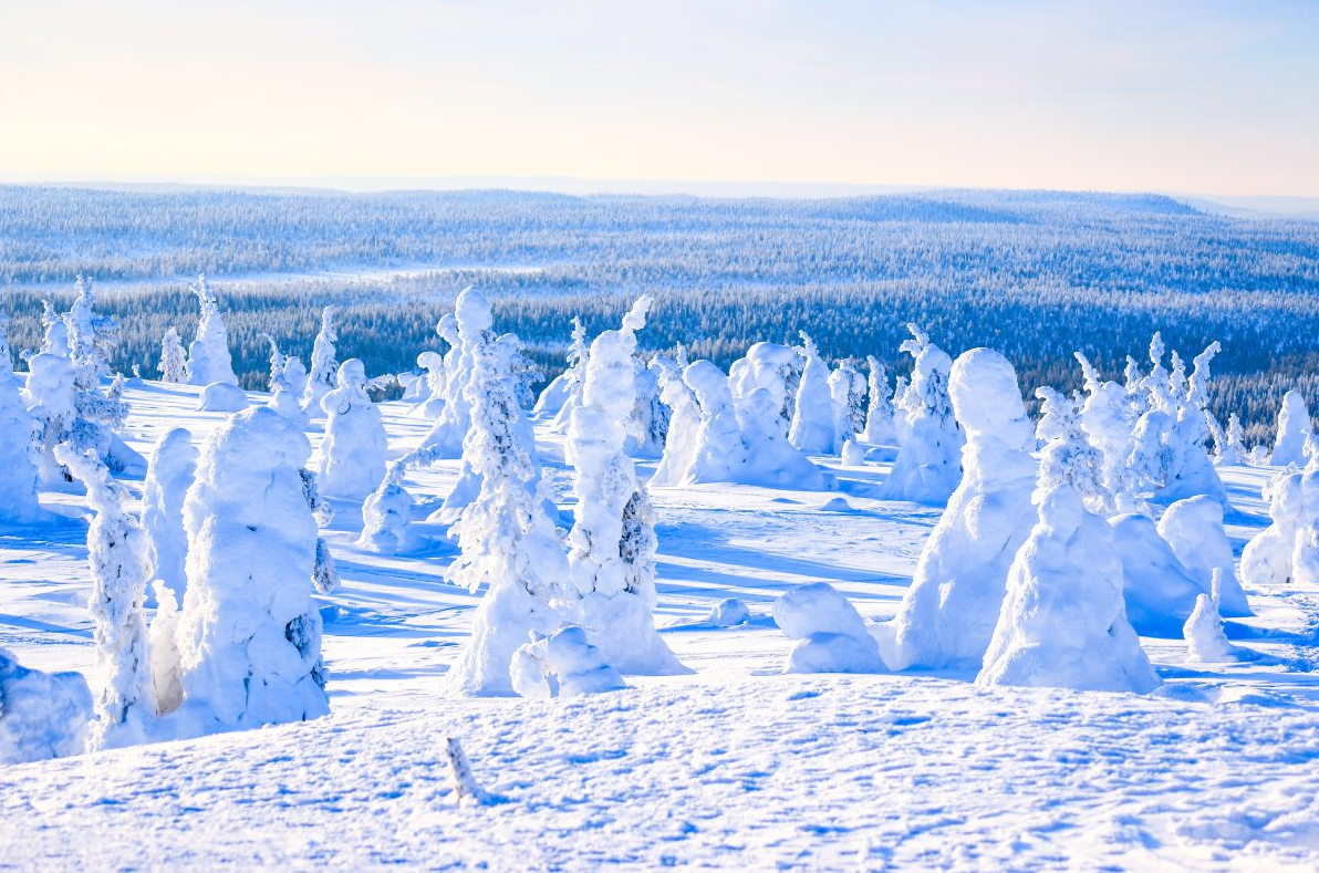 Arctic Adventure through Magical Frozen Forests of Riisitunturi gallery 5