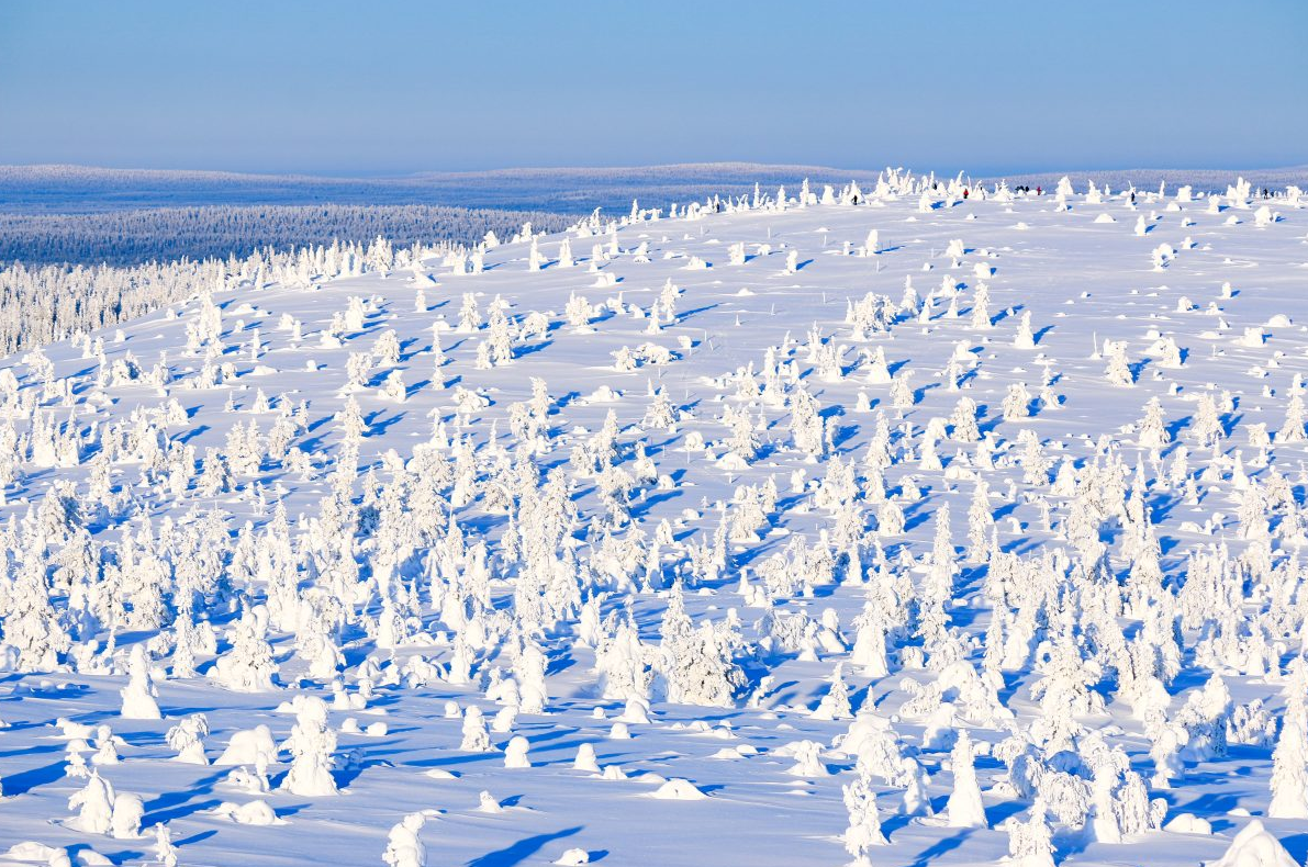 Arctic Adventure through Magical Frozen Forests of Riisitunturi gallery 6