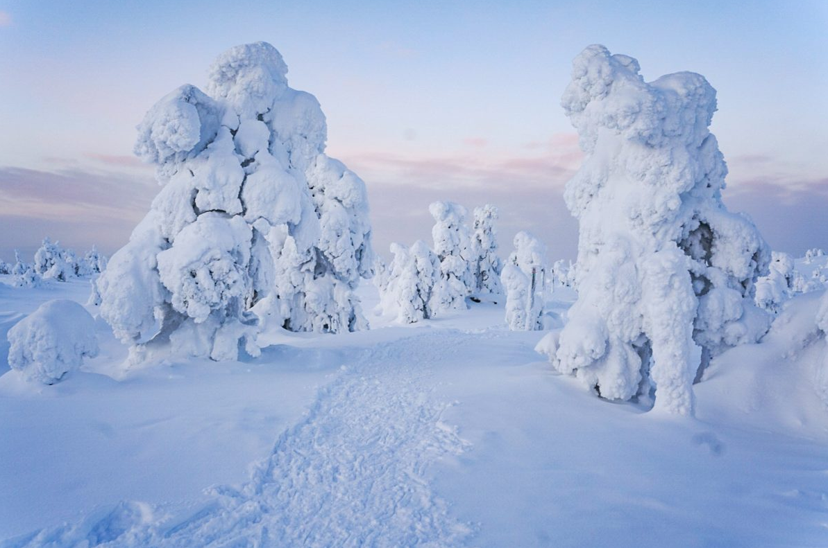 Arctic Adventure through Magical Frozen Forests of Riisitunturi, photo 5