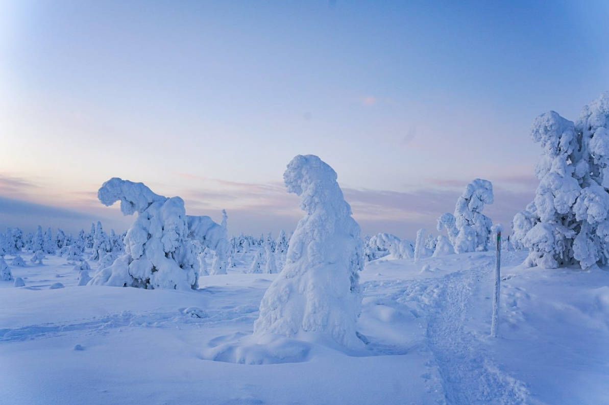 Arctic Adventure through Magical Frozen Forests of Riisitunturi gallery 2