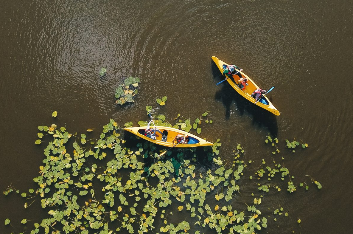 Lapland Canoe Trip in Rovaniemi gallery 5