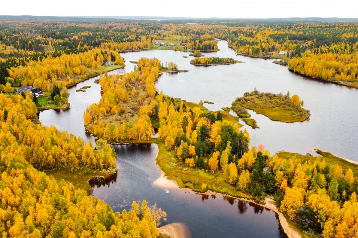 Lapland Canoe Trip in Rovaniemi gallery 7