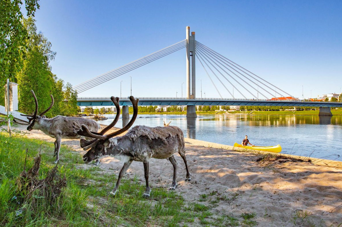 Cultural Canoe Trip around Rovaniemi, photo 3