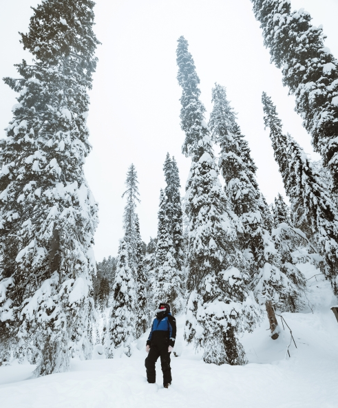 Family Friendly Frozen Waterfalls Tour from Rovaniemi, photo 2