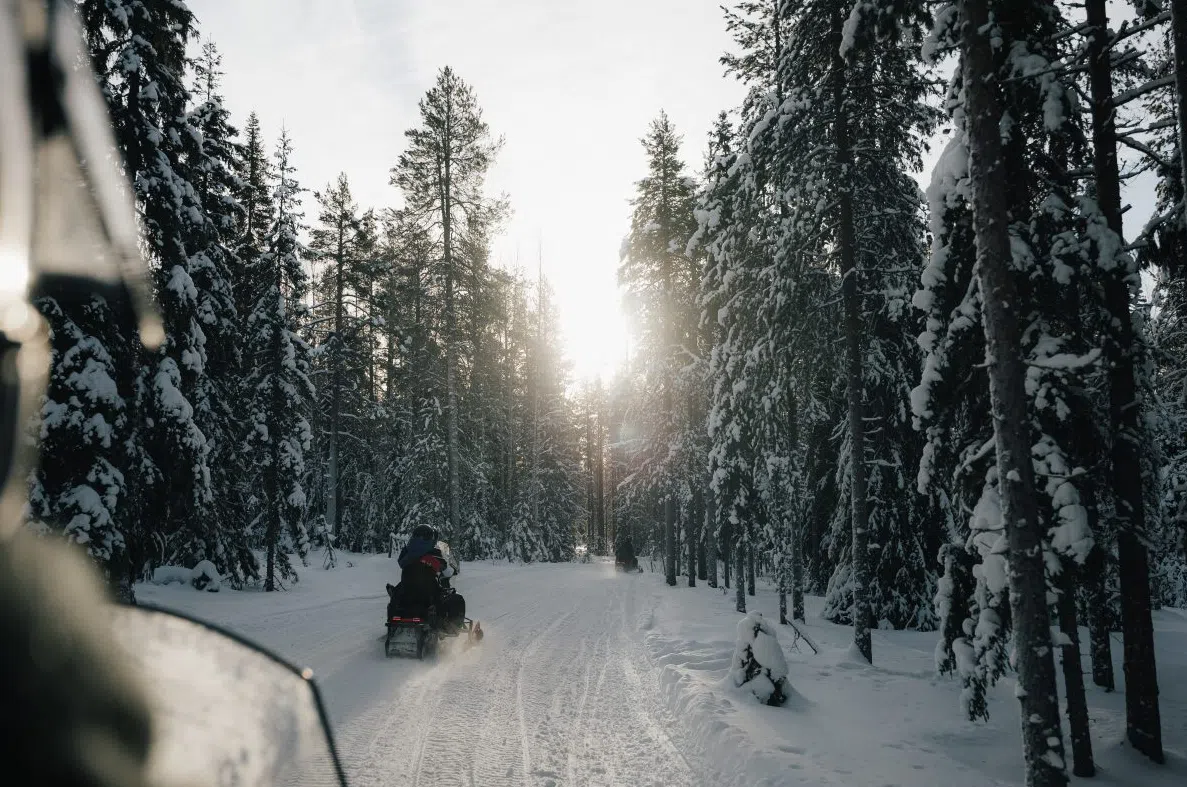 Full Day Snowmobile Tour in Rovaniemi, photo 2