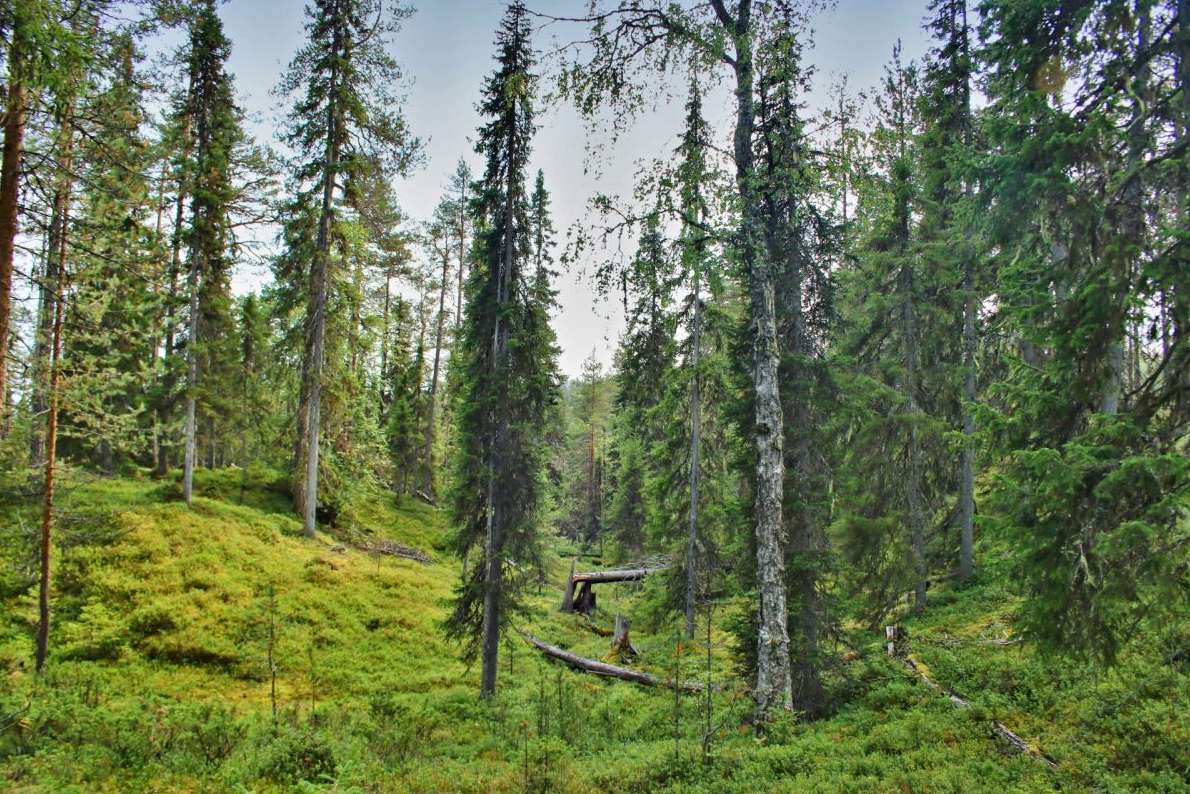 Korouoma Canyon Wilderness Hike in Finland gallery 3