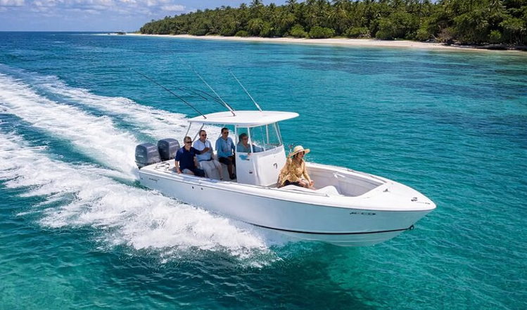 Private Isla Saona & Palmilla Snorkeling Boat Tour, listing photo