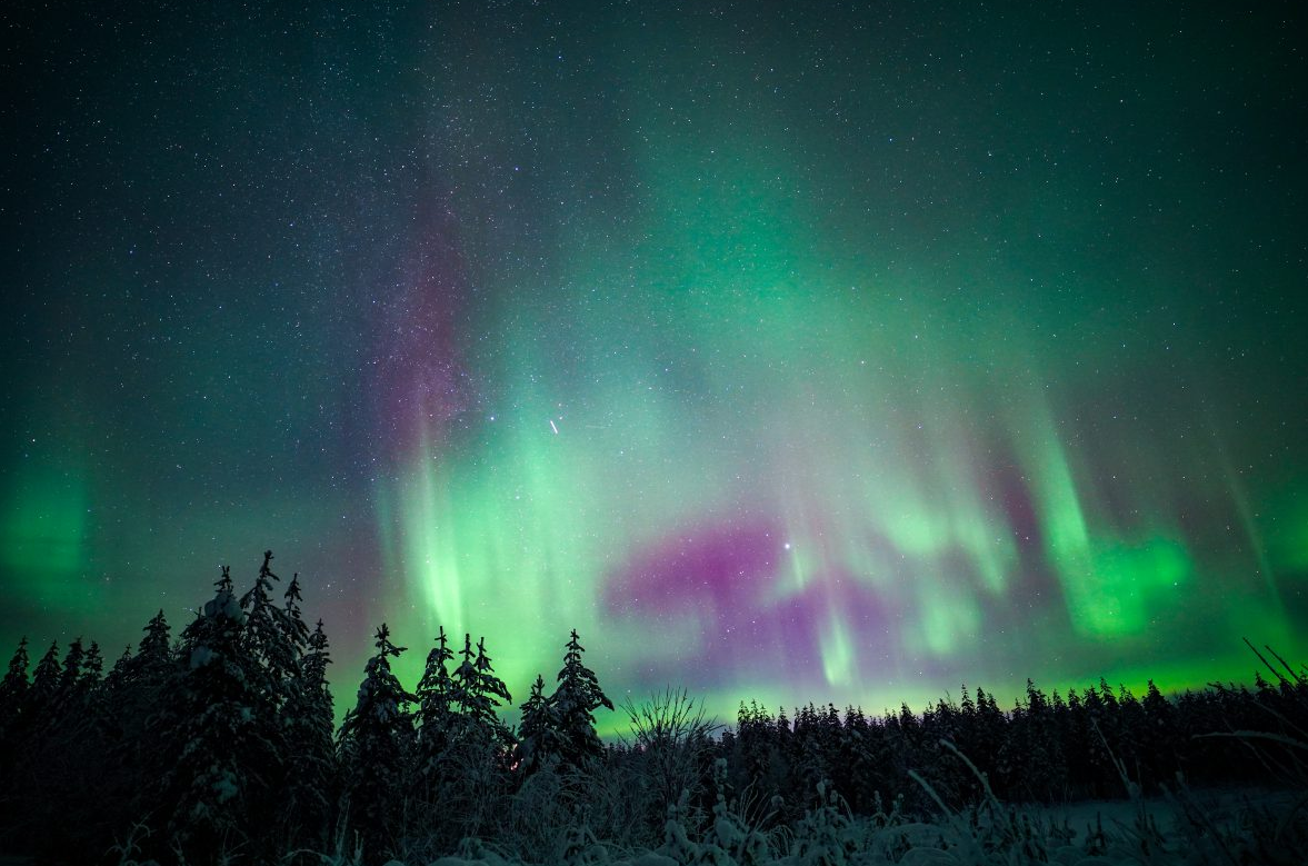 Night Snowshoeing Adventure under the Northern Lights gallery 4