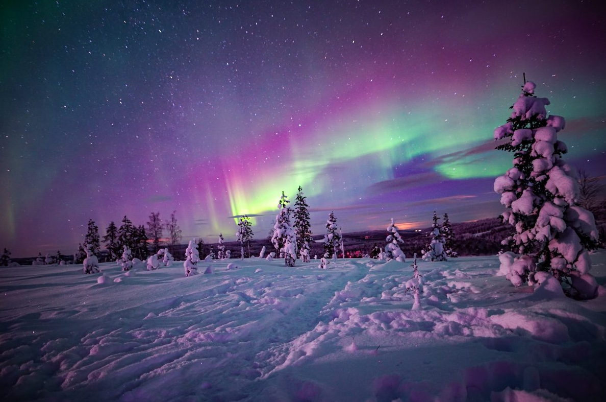 Northern Lights Family Friendly Snowmobile Safari in Rovaniemi gallery 4