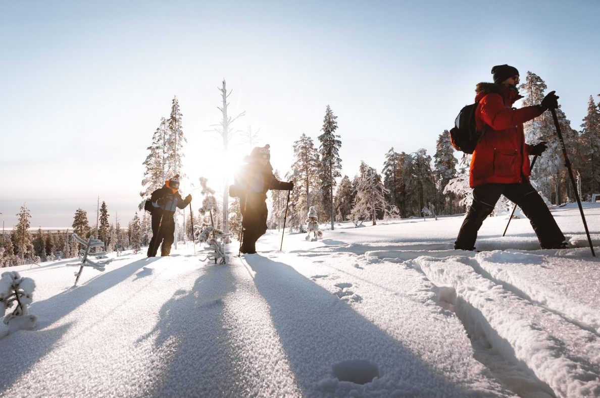 Ski Trekking Safari in Lapland, photo 4