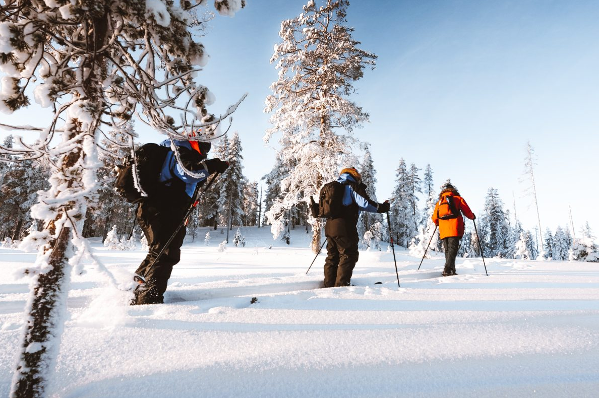 Ski Trekking Safari in Lapland, photo 5