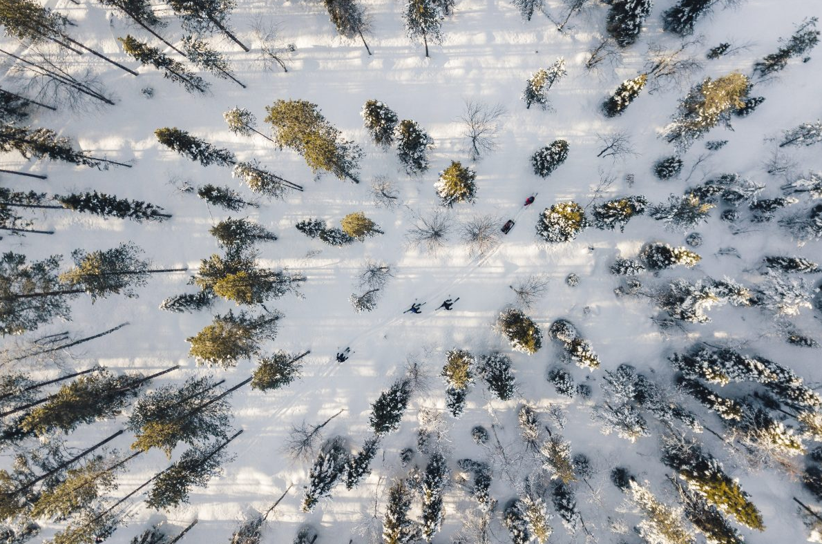 Ski Trekking Safari in Lapland gallery 3