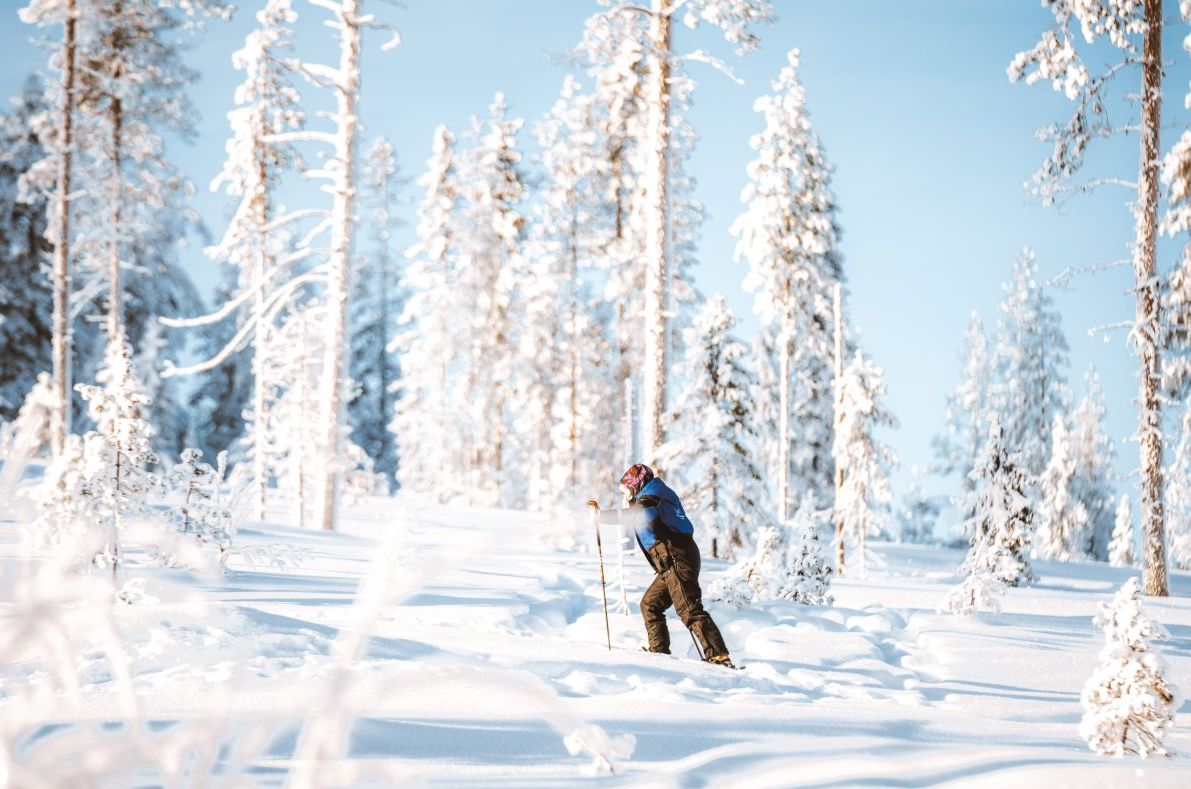 Ski Trekking Safari in Lapland, photo 2