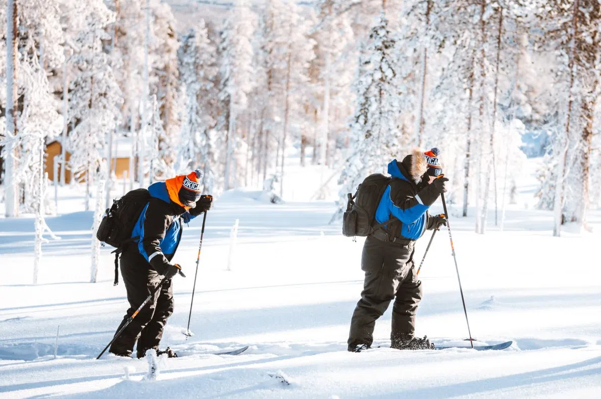 Ski Trekking Safari in Lapland, listing photo