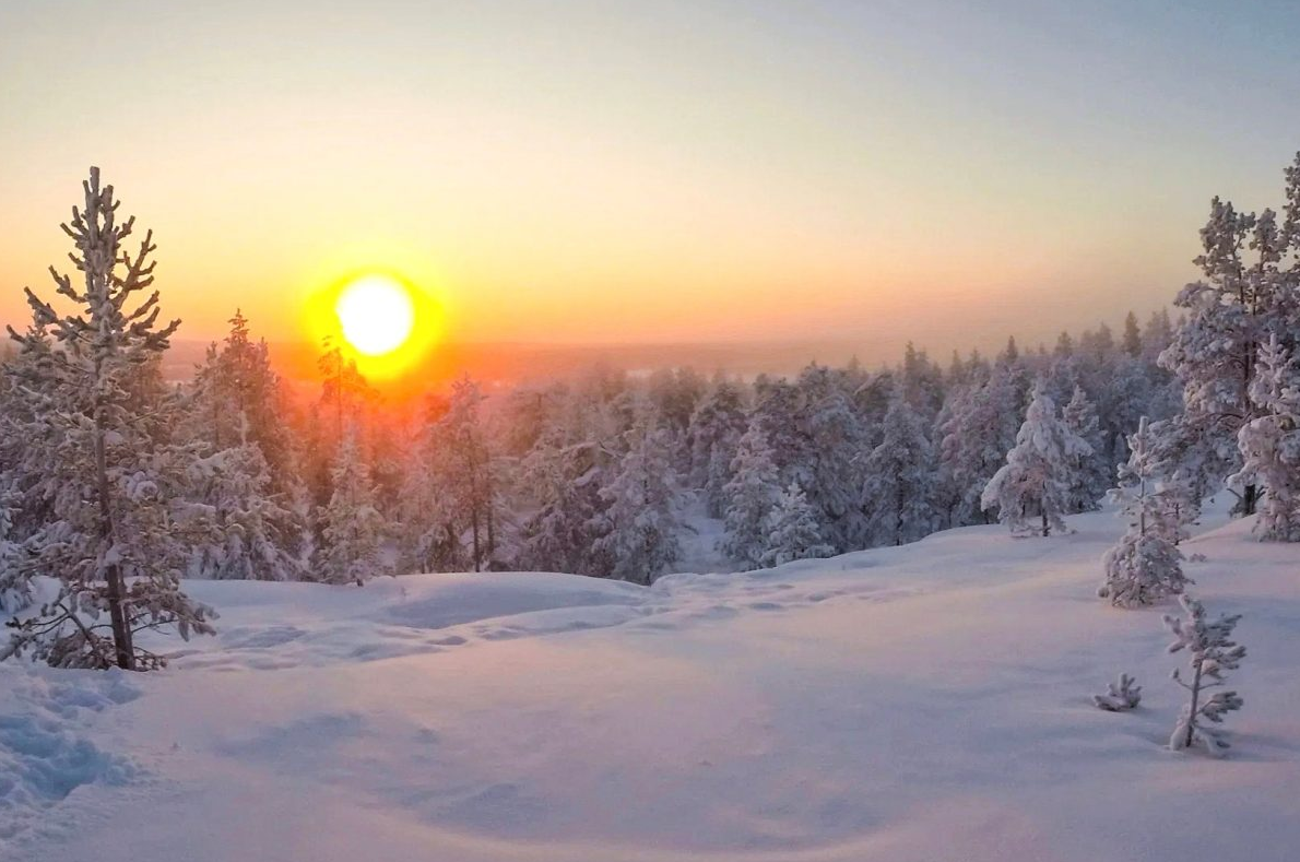 Wilderness Snowshoeing Trip in Rovaniemi, photo 5