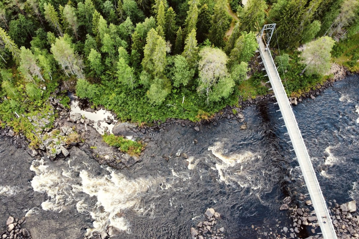 Summer and Autumn Wilderness Survival Tour in Rovaniemi gallery 3