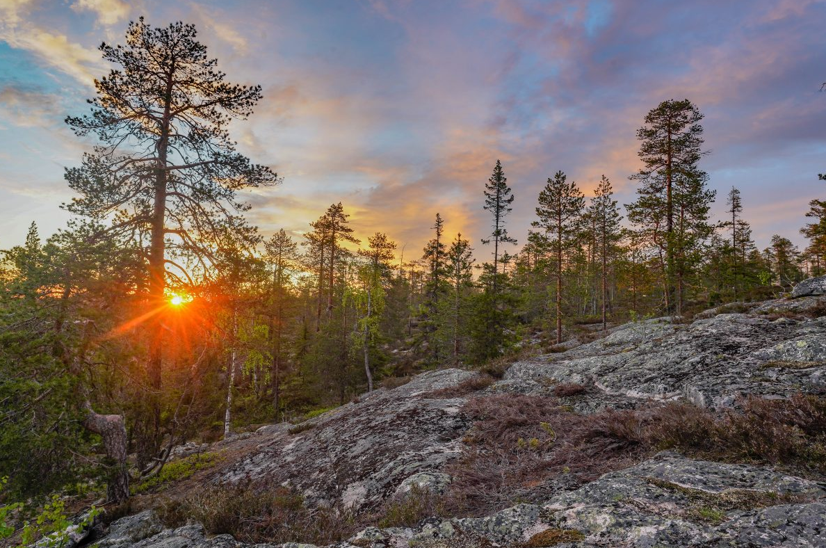 Summer and Autumn Wilderness Survival Tour in Rovaniemi gallery 5