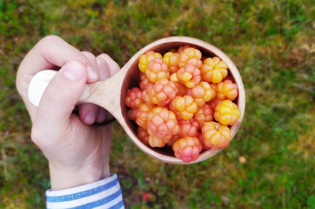 Summer and Autumn Wilderness Survival Tour in Rovaniemi, photo 4