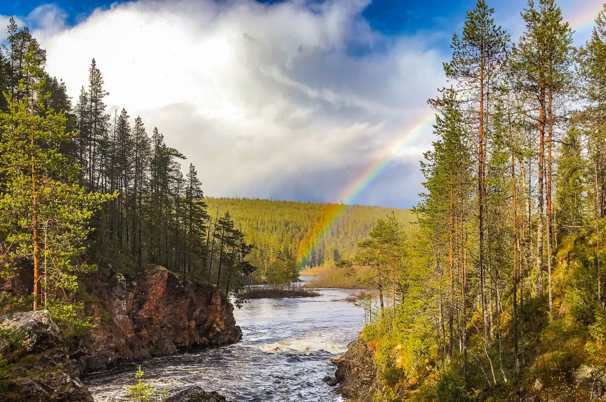 Summer and Autumn Wilderness Survival Tour in Rovaniemi, photo 2