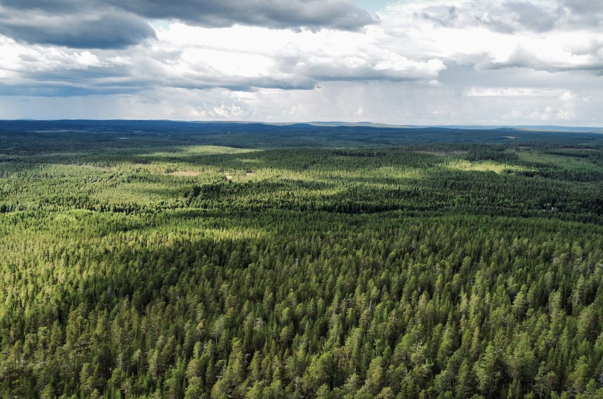 Summer and Autumn Wilderness Survival Tour in Rovaniemi gallery 6