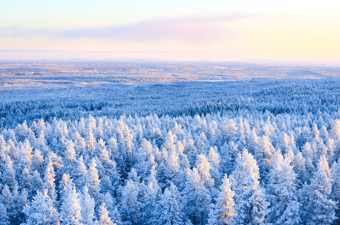 Winter Wilderness Survival Tour in Rovaniemi gallery 2